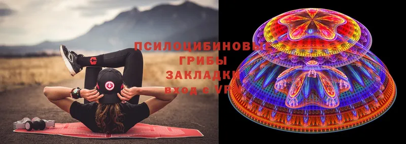 Галлюциногенные грибы Magic Shrooms  omg как войти  Приволжск 